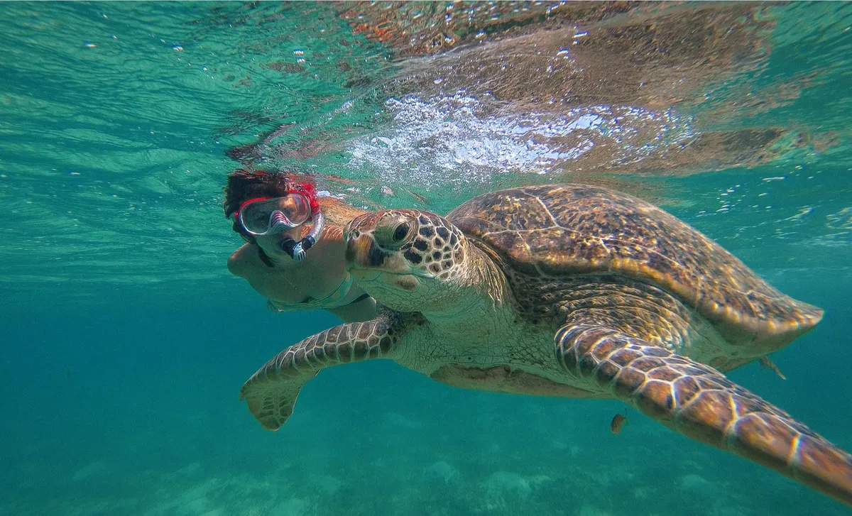 Catamaran and beach day snorkeling adventure on St. Thomas USVI in the Virgin Islands