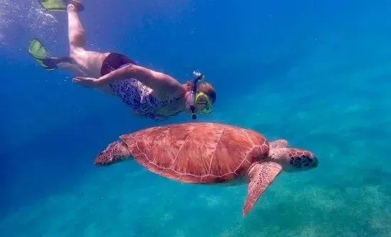 Snorkelers at a quiet reef stop on a private St. Thomas and St. John catamaran charter