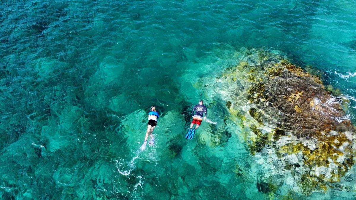 Snorkeling St. Thomas USVI with sea turtles in crystal-clear Caribbean water on a guided reef tour