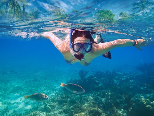 A snorkeler exploring a coral reef on a guided snorkeling tour on St. Thomas USVI
