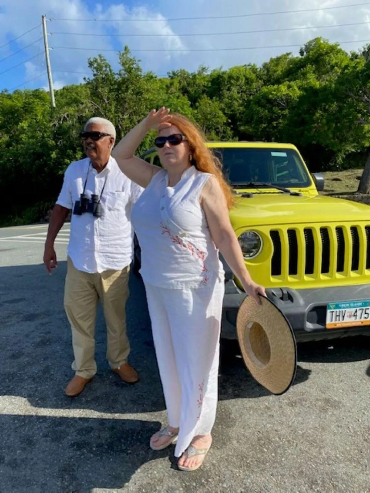 A scenic island viewpoint on a private tour, among the best things to do in St. Thomas, U.S. Virgin Islands