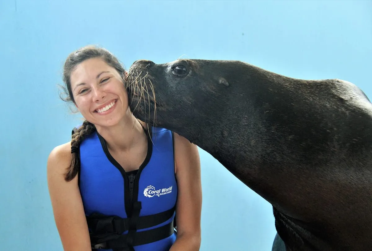A sea lion encounter at Coral World, one of the family-friendly things to do in St. Thomas, U.S. Virgin Islands