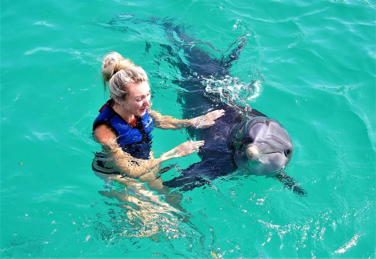 Swimming with dolphins at Coral World, a bucket-list thing to do in St. Thomas, U.S. Virgin Islands